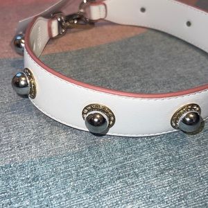 Purse strap